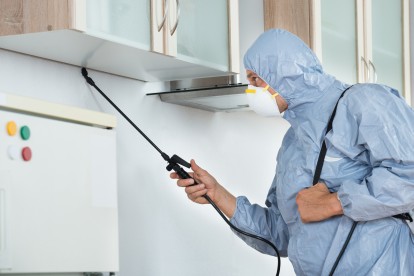 Home Pest Control, Pest Control in Penn, Little Missenden, HP7. Call Now 014 9464 1066